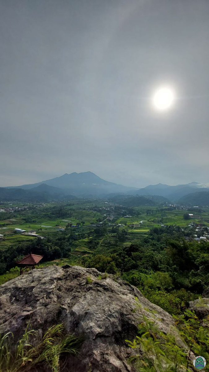 Tanyarlfes tweet media