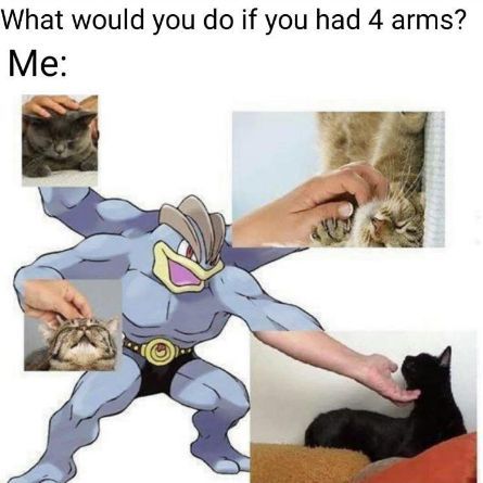 WholesomeMemes (@wholesomememe) on Twitter photo 