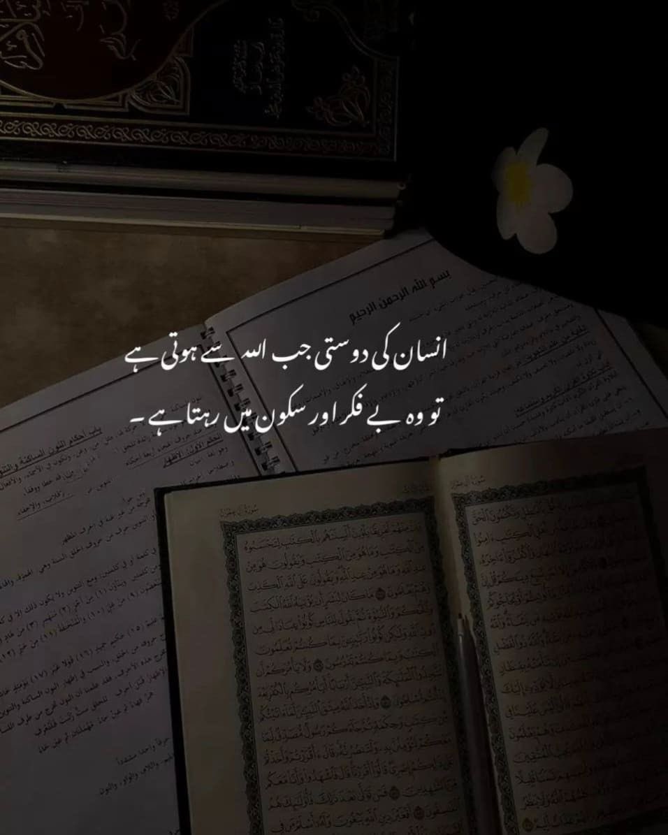 Areebaoffical tweet media