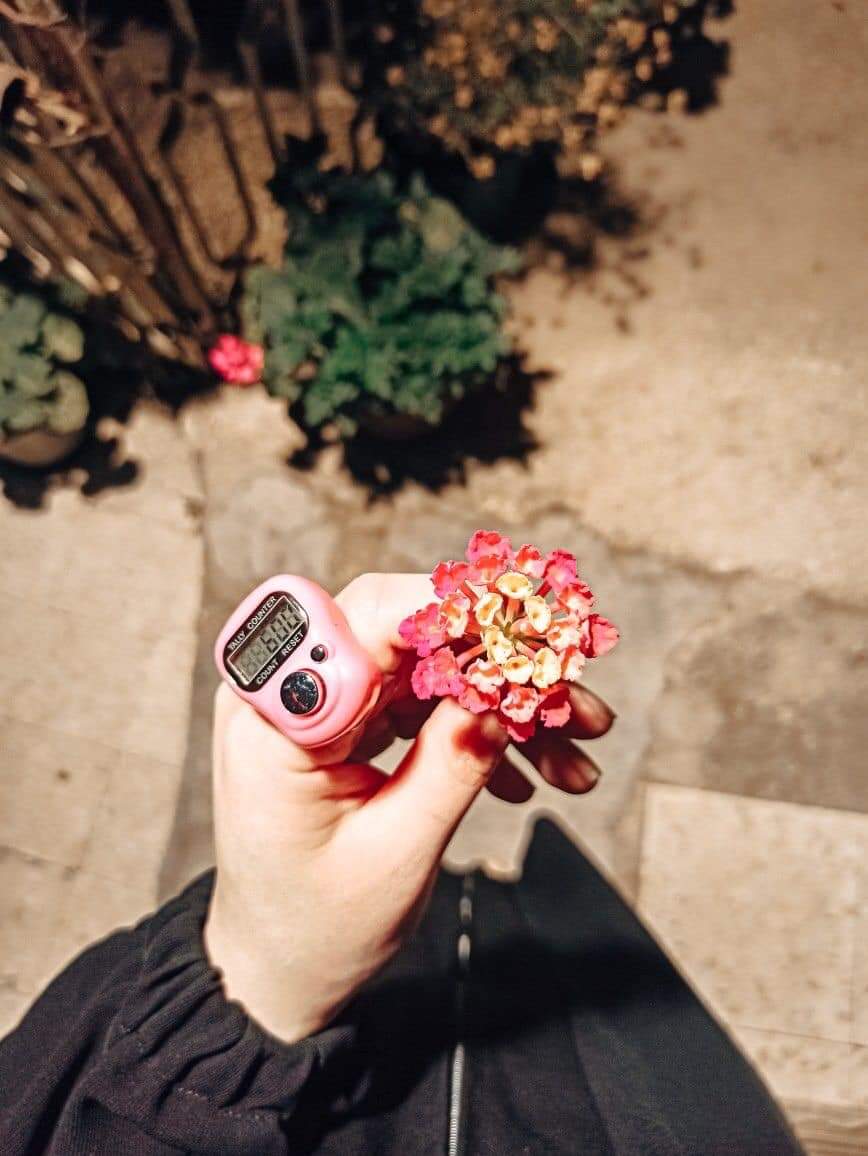 #AlemlereRahmetHzMuhammed 
Nasip olmayan her şeyden mahrum değil de muhafaza edildiğine iman edince❤️ kalbinize olan eziyetiniz de  bitiyor..
#HayırlıCumalar