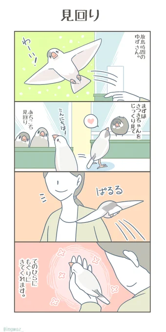 見回りゆずさん。

#Buncho #漫画が読めるハッシュタグ #文鳥 