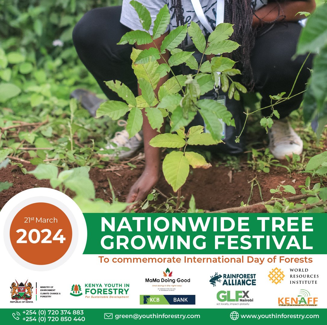 We are excited to announce that on  21st March 2024 , Youth in Forestry, MaMa Doing Good and Partners will be hosting a Co-ordinated Nationwide Tree Growing Festival, in designated sites across the country
#youthinforestry #ecosystemrestoration #ClimateAction