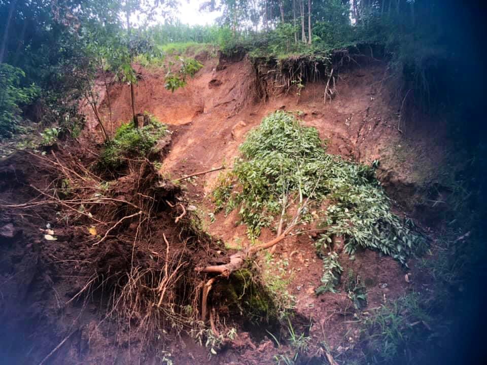 irambonaelvis's tweet photo. Ata gikozwe vuba ibimanga kimwe kiri ku mutumba #Musave hafi y'idepo ya #Brarudi ikindi kiri ku mutumba #Kirema hafi ya sentare nkuru y'igihugu ya Kayanza muri komine n'intara ya #Kayanza birashobora kwonona amabarabara y'igihugu inomero 1 n'inomero 6.
@MielsBurundi 
@ARBurundi https://t.co/bhJSHhzHuc