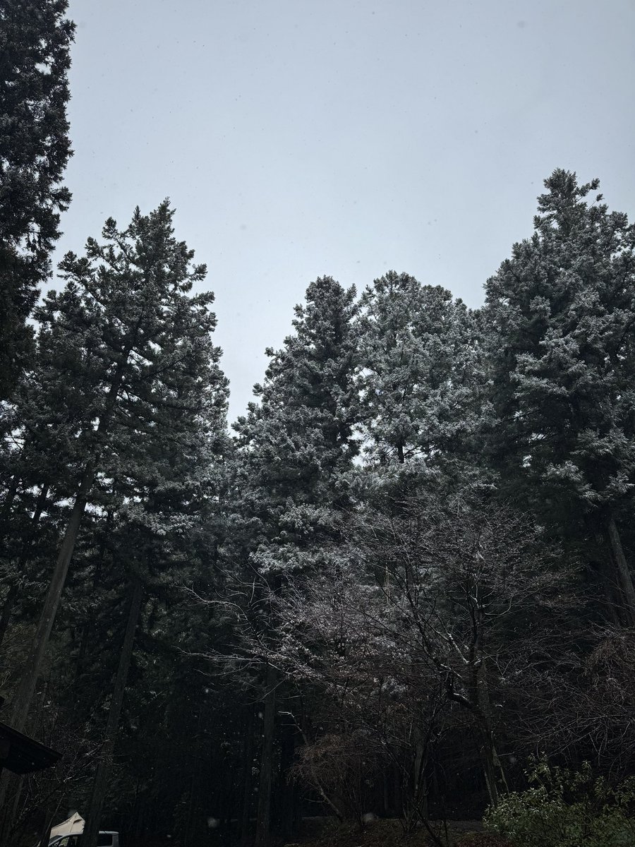 RShironko's tweet photo. 雪がちらつく中で、キャンプすると、冬キャンやってるなぁって気がして好き https://t.co/Ezstgivw0K