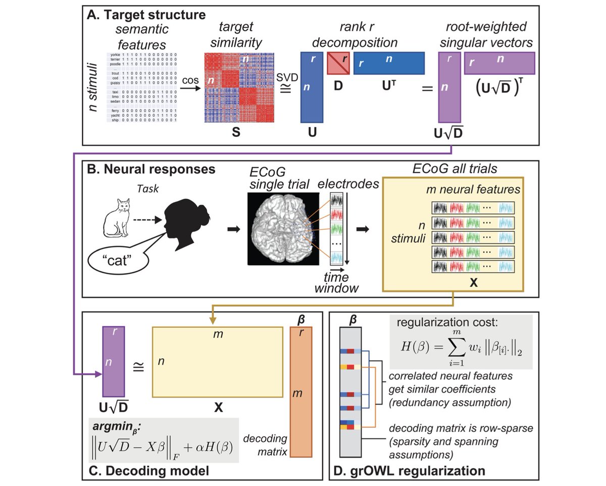 New paper in Imaging Neuroscience by Christopher R. Cox, Matthew A. Lambon Ralph, et al:

Representational similarity learning reveals a graded multidimensional semantic space in the human anterior temporal cortex

doi.org/10.1162/imag_a…