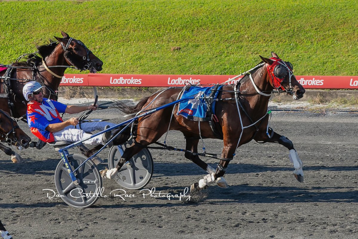 DanRacingWrap's tweet photo. @McmullenPeter gets Bella Bronski home to win race 8 @TheCreekAlbion for trainer @WilliamsRacing5 https://t.co/zcIUxJaXqz