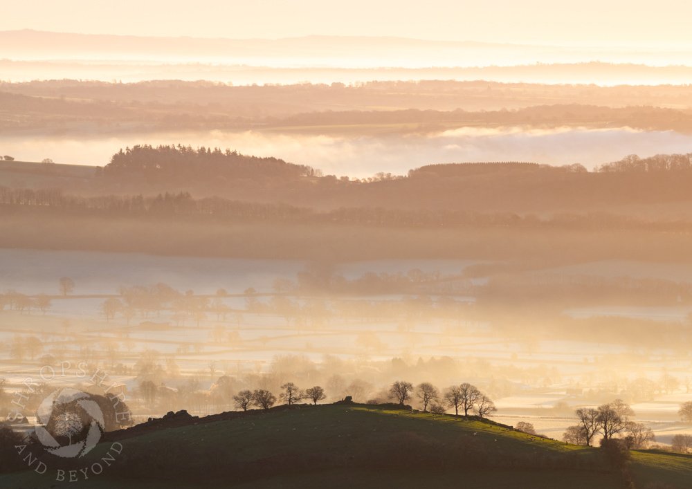 An ethereal view of Apedale at sunrise, seen from Caer Caradoc, near Church Stretton. In the foreground is Hill End, with Wenlock Edge in the middle distance and Corvedale beyond. #Shropshire