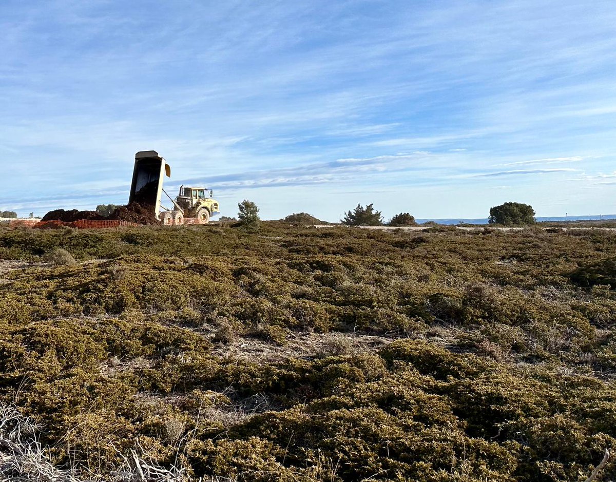 Esto s'está fent en Santos de la Piedra (Pozondón), habitat d'una especie EN PELIGRO DE EXTINCIÓN i que tiene en Aragón la mayor población d'Europa. 

En Aragón las renovables no son ni verdes ni sostenibles, son un crimen medioambiental.