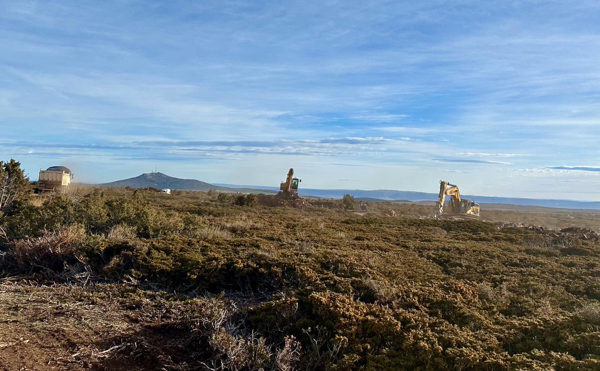 rory_bellows's tweet photo. Esto s'está fent en Santos de la Piedra (Pozondón), habitat d'una especie EN PELIGRO DE EXTINCIÓN i que tiene en Aragón la mayor población d'Europa. 

En Aragón las renovables no son ni verdes ni sostenibles, son un crimen medioambiental. https://t.co/rW3tfidjk1
