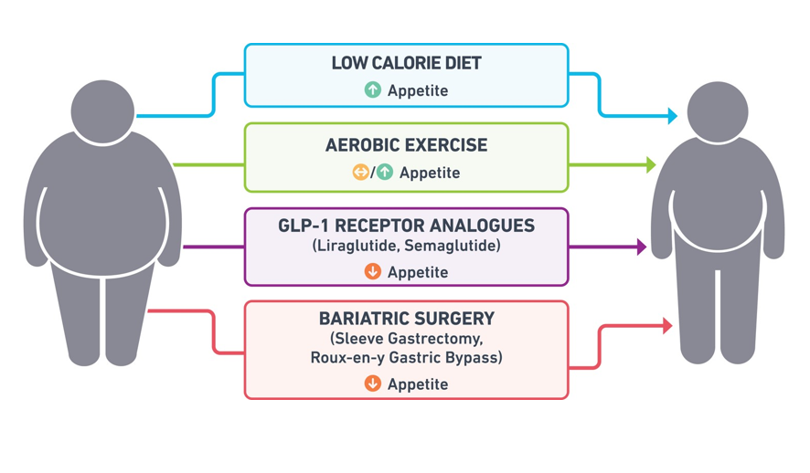 European Society of Cardiology Journals (@esc_journals) on Twitter photo A new era for the treatment of #obesity
State-of-the-art Spotlight Review in #CardiovascularResearch explores emerging multi-agonist molecules that may bridge the gap between current treatments & bariatric surgery bit.ly/3OOuHaL
<a href="/CVR_TomaszGuzik/">CVR Tomasz Guzik</a> <a href="/glenpyle/">Glen Pyle | #WomensHeartHealth ❤️🩹🖇️</a> <a href="/DrMikeDrozd/">Mike Drozd</a> A new era for the treatment of #obesity
State-of-the-art Spotlight Review in #CardiovascularResearch explores emerging multi-agonist molecules that may bridge the gap between current treatments & bariatric surgery bit.ly/3OOuHaL
<a href="/CVR_TomaszGuzik/">CVR Tomasz Guzik</a> <a href="/glenpyle/">Glen Pyle | #WomensHeartHealth ❤️🩹🖇️</a> <a href="/DrMikeDrozd/">Mike Drozd</a>