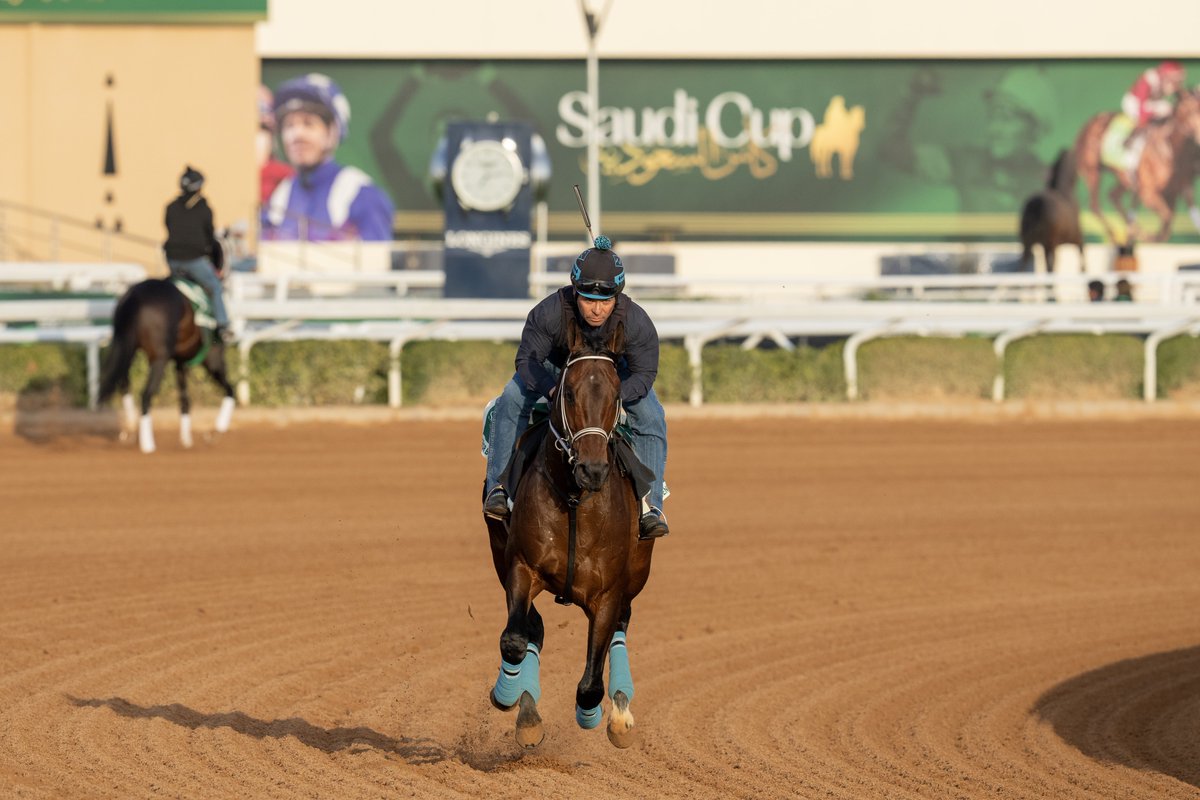 The Saudi Cup (@thesaudicup) on Twitter photo G1 Saudi Cup contenders at this morning’s trackwork…
🇯🇵 USHBA TESORO #ウシュバテソーロ
🇯🇵 LEMON POP #レモンポップ
🇺🇸 SAUDI CROWN
🇺🇸 SEÑOR BUSCADOR
#サウジカップ | <a href="/MakMathea4/">Mathea Kelley</a> G1 Saudi Cup contenders at this morning’s trackwork…
🇯🇵 USHBA TESORO #ウシュバテソーロ
🇯🇵 LEMON POP #レモンポップ
🇺🇸 SAUDI CROWN
🇺🇸 SEÑOR BUSCADOR
#サウジカップ | <a href="/MakMathea4/">Mathea Kelley</a>