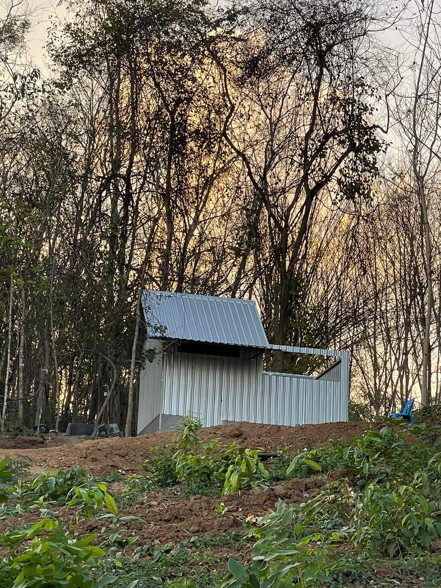 Thehammerhead's tweet photo. Jungle shed farm coming together. Noot the boss up there getting things done. #jungleshedfarm #isarn #farmerwife https://t.co/uGGUzn7DIm