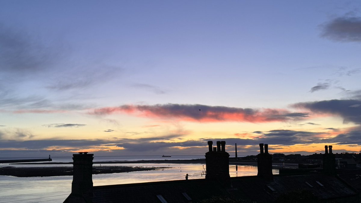 BeachDog15's tweet image. What a glorious morning. #Itsgrimupnorf #Springisnear