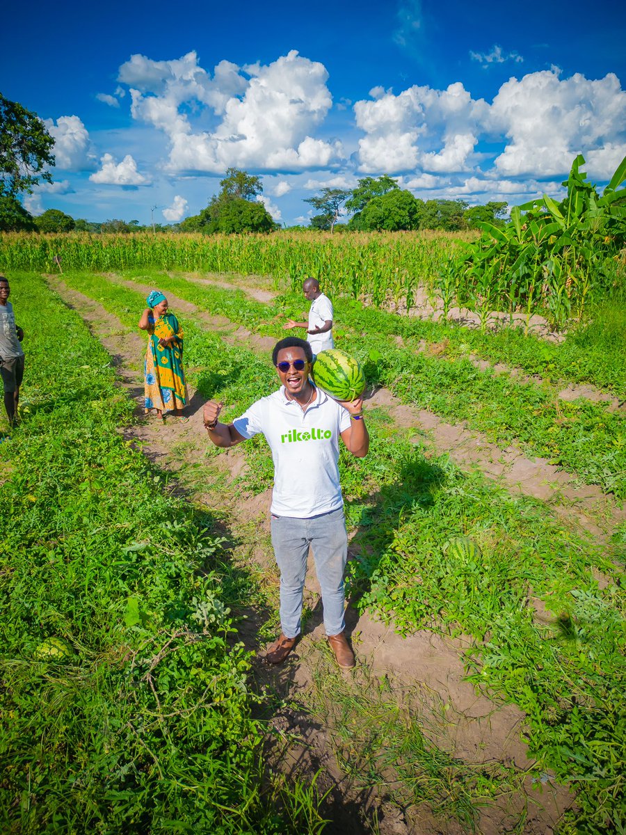 davidprezda's tweet photo. A sustainable income for farmers and nutritious, affordable food for everyone. @rikolto
#rikolto
#prez
#jumaakareem
#matikitikudondokaaaaa https://t.co/rRkeOSe5l5