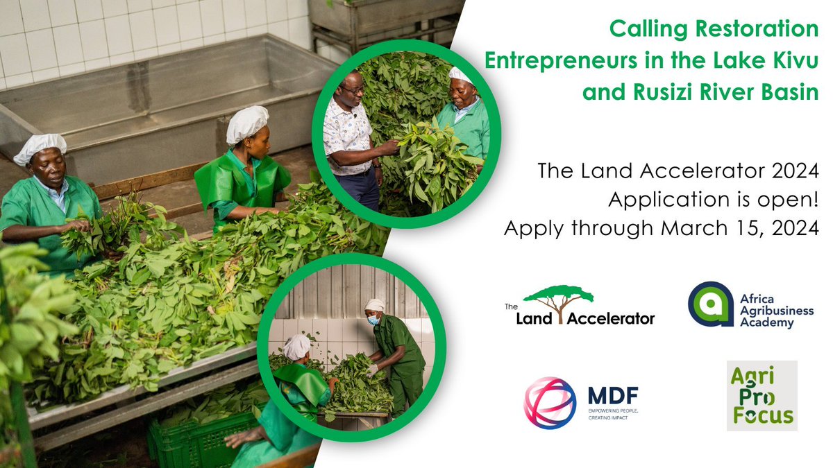 Are you an entrepreneur in Africa working to restore land? 🌱

Since 2018, the #LandAccelerator Africa’s 293 alumni have reported 201,000 ha restored, 9,000 jobs created, and 250,000 farmers engaged!

Apply today and join these champions.

Link: bit.ly/3UEPCk2