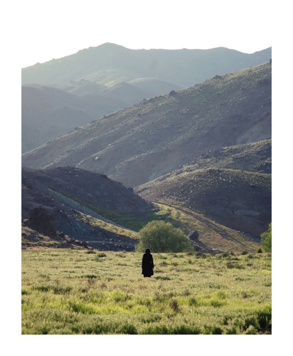 Taher🌴 tweet media