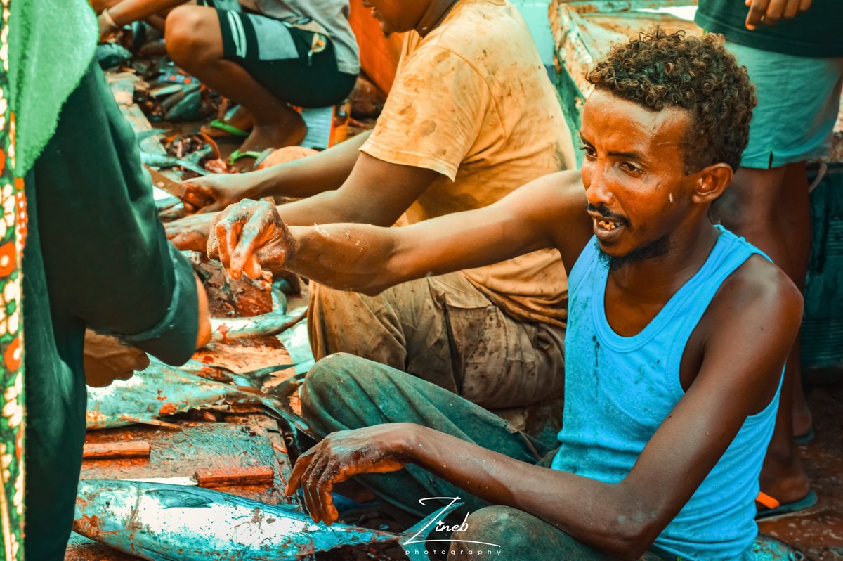 Fish market, Tadjourah 2021.
📸 @medhazin
#Djibouti  
#جمعه_طيبه_مباركه