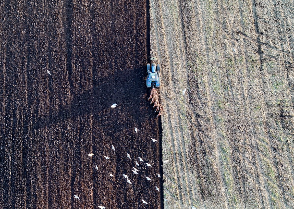 Rob Barrie took this picture of ploughing at Rumbleton Farm, Greenlaw in the Scottish Borders.

See more great images 📷 ➡️ bbc.in/49hU4K7

Send your pics of Scotland to scotlandpictures@bbc.co.uk