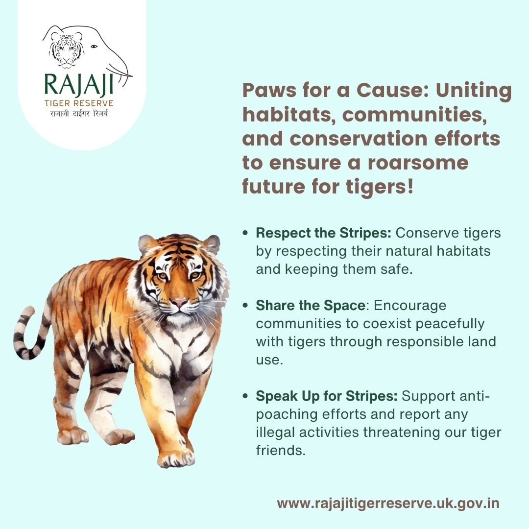 #TigerConservationStrategies #rajajitigerreserve