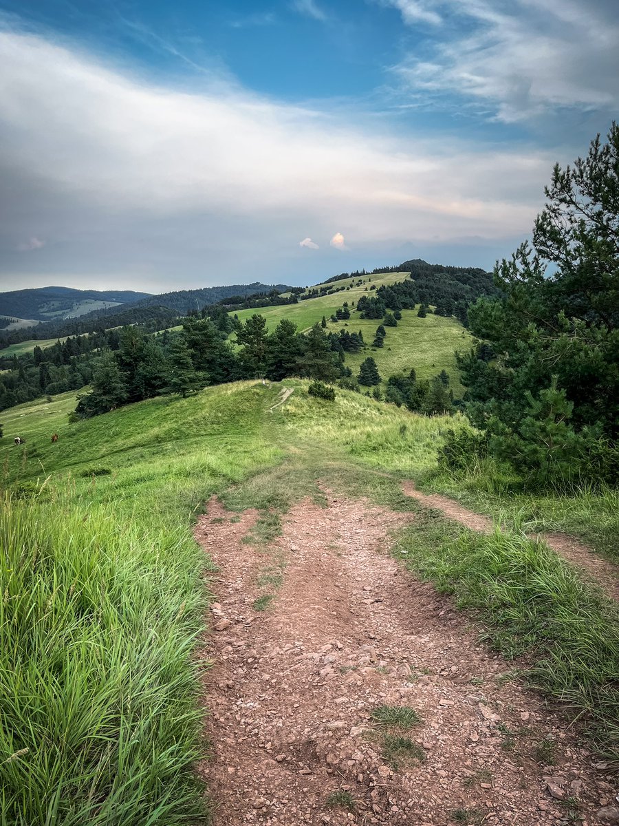 OneStepForward7's tweet image. 🏔️ Poznajecie charakterystyczną ławeczkę i widoki z tego jakże wspaniałego szczytu? 

#góry #małopolskie #Polska