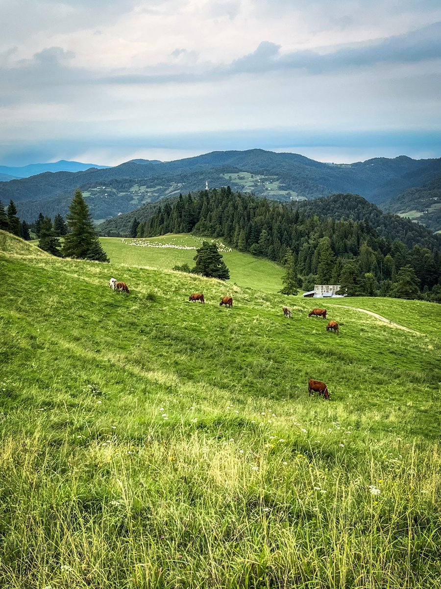 OneStepForward7's tweet image. 🏔️ Poznajecie charakterystyczną ławeczkę i widoki z tego jakże wspaniałego szczytu? 

#góry #małopolskie #Polska