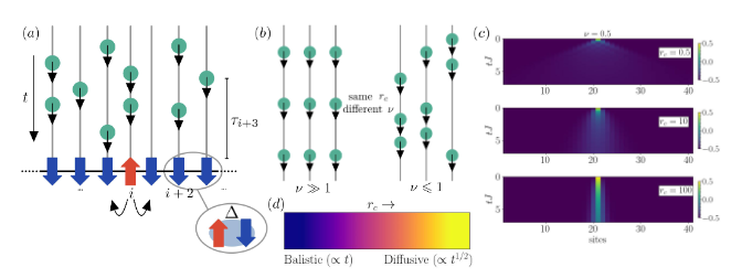 Entropy_MDPI's tweet image. Read #FeaturePaper: &quot;Engineering Transport via Collisional Noise: A Toolbox for Biology Systems&quot; by Alessandro Civolani et al.

See more details at: mdpi.com/1099-4300/26/1…

#openquantumsystems
stochastic #collisionmodels
#quantumtransport in #noisymedia
#quantumbiology