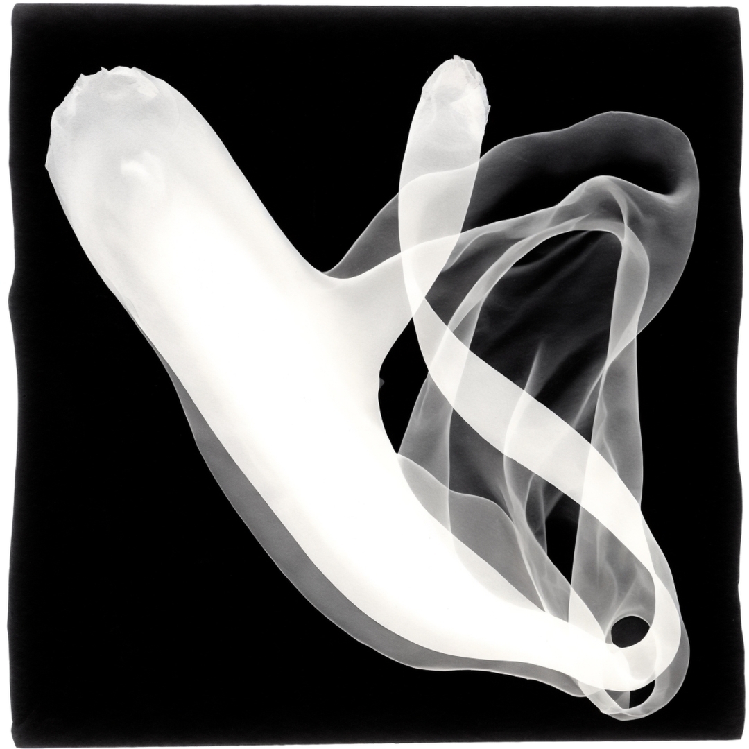 Savina Ra (@savinarazn) on Twitter photo 