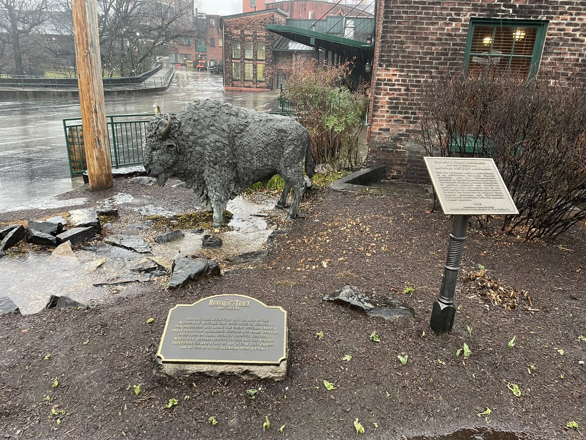 GunthorTM's tweet image. Due to a little rain and me being a delicate flower, I only caught a quick glimpse of the gardens #buffalotrace #delicateflower