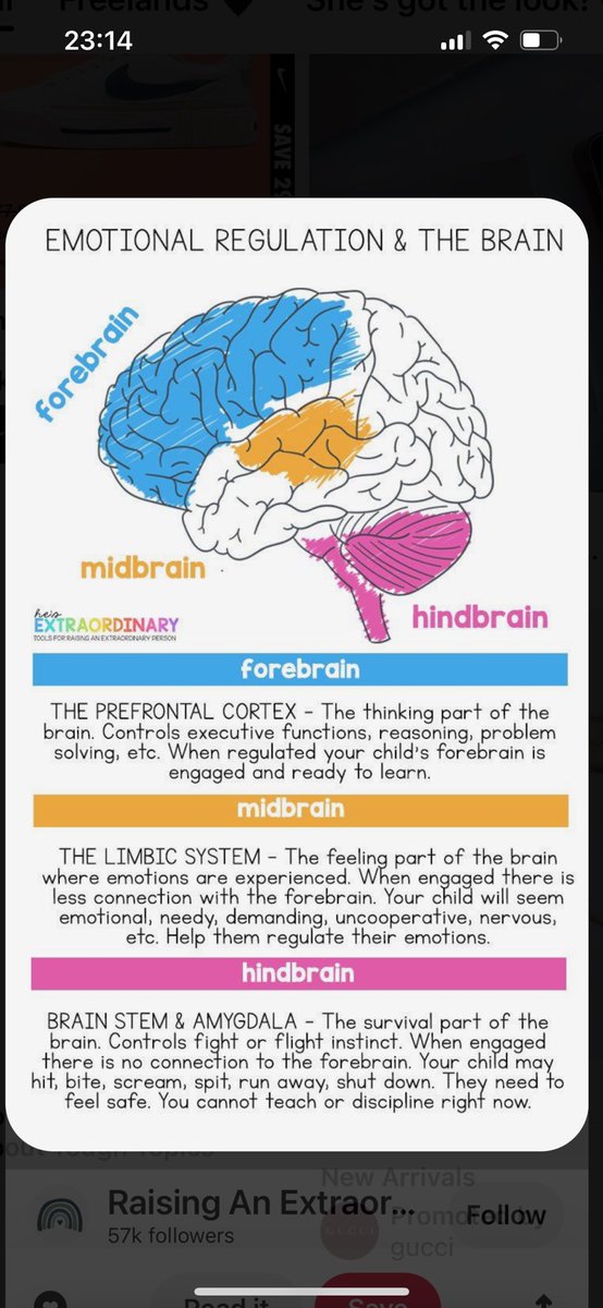 Friday Facts 🧡 An important visual and a great reminder that all working with children and young people must understand that all behaviour is communication, punishment only leads to more pain! #regulation #getintoyourcortex 🧡