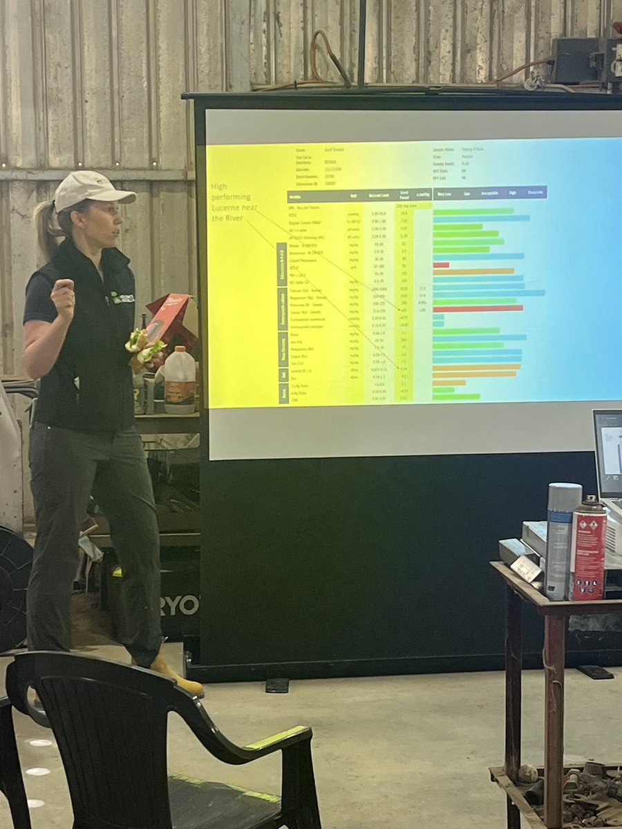 Michael Cutting tweet media