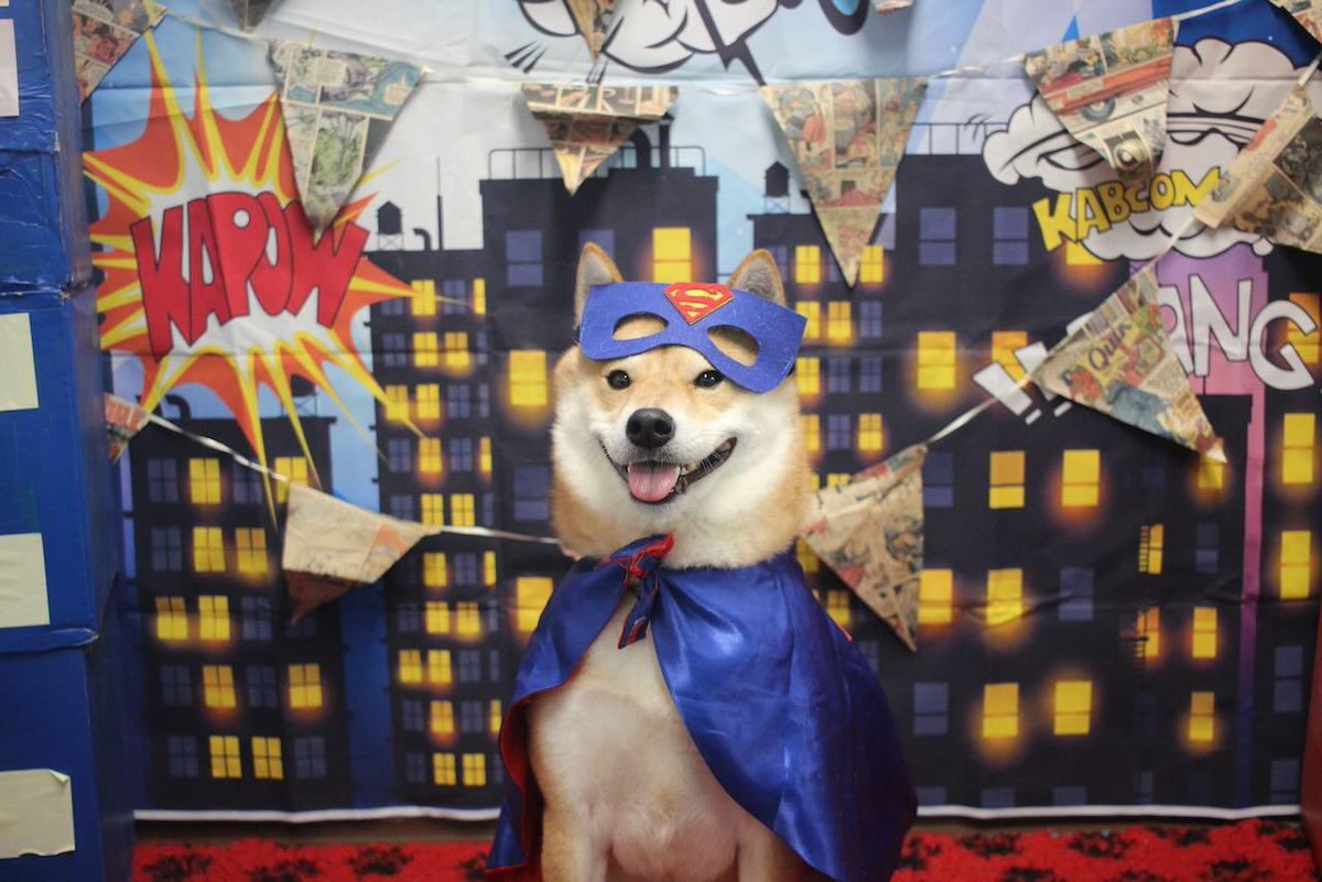 On route to #SBSEvent2024 in Birmingham! No doggos in attendance unfortunately. Maybe one year they’ll allow it! <a href="/TheSBS_Crew/">#SBS Crew</a> <a href="/TheoPaphitis/">Theo Paphitis</a>