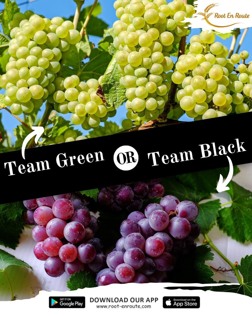 RootEnRoute's tweet photo. #RootEnRoute #FarmFresh #HyderabadDelivery #FreshFacts #EatHealthy #grapes https://t.co/dbSPHceare