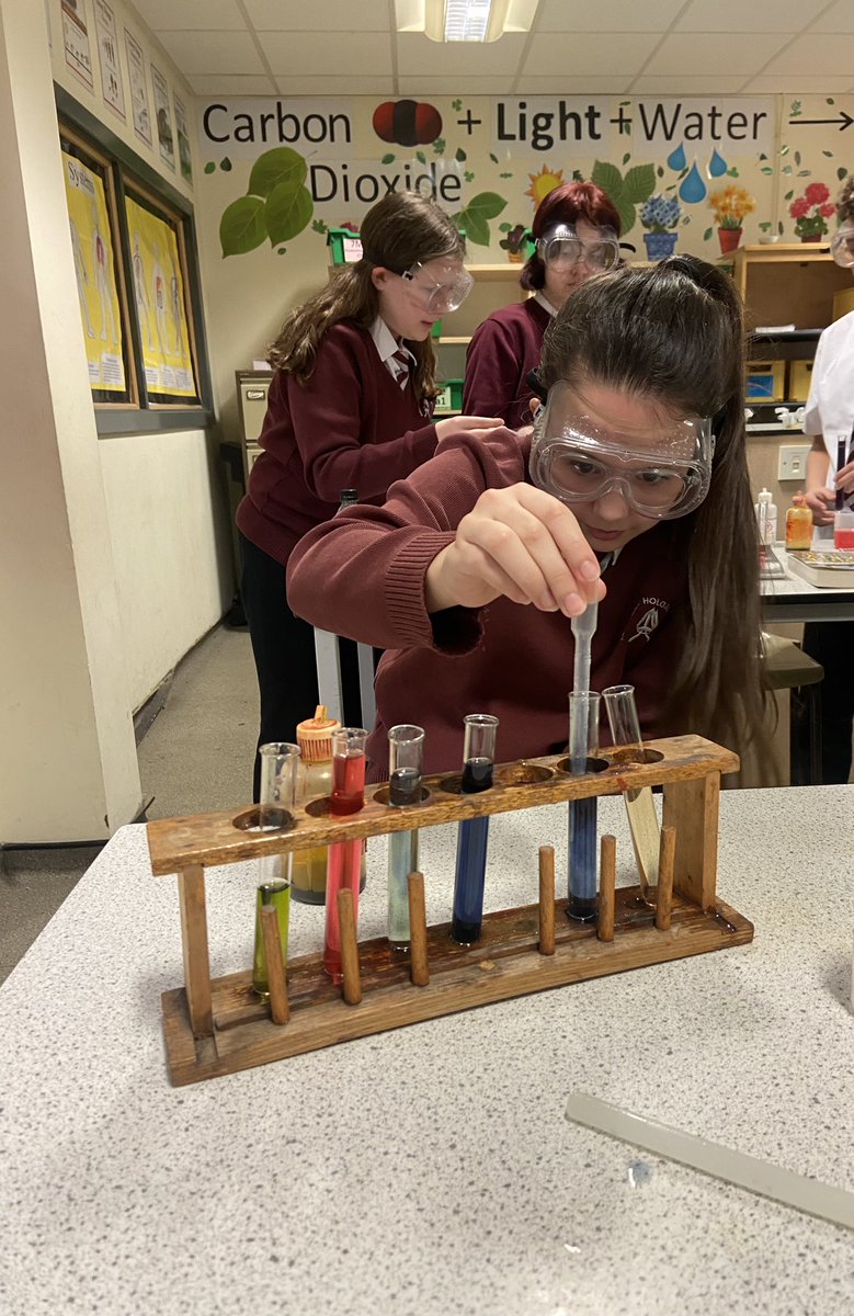 AHS Year 7 tweet media