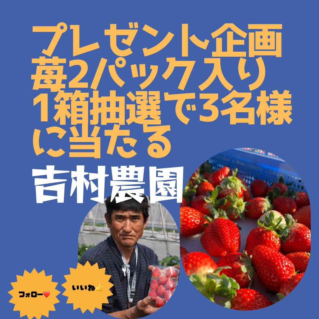 🍓吉村農園プレゼント企画🍓 吉村農園のいちご2パック1箱を3名様にプレゼント🎁 いちごの旬な時期に是非ご賞味下さいね😁♩ 応募方法はアカウントのフォロー&RTのみ！ @yoshimuranouen 期間は2月23日（金）〜3月1日（金）の18時まで ご応募お待ちしております🍓 #プレゼント企画 #いちご