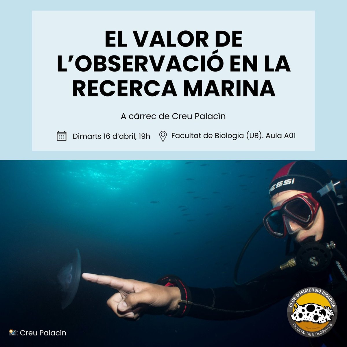 💬 Conferència «El valor de l'observació en la recerca marina» a càrrec de Creu Palacín. 📅 16 d'abril de 2024 🕖 19:00 📌 Aula: A01 o en línia 🔗 cibsub.cat/noticia-el_val… @CIBsub