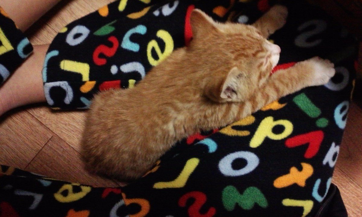 순이야ㅠㅜㅠㅜㅠㅜㅜㅜㅜㅠㅠㅠㅜㅜ