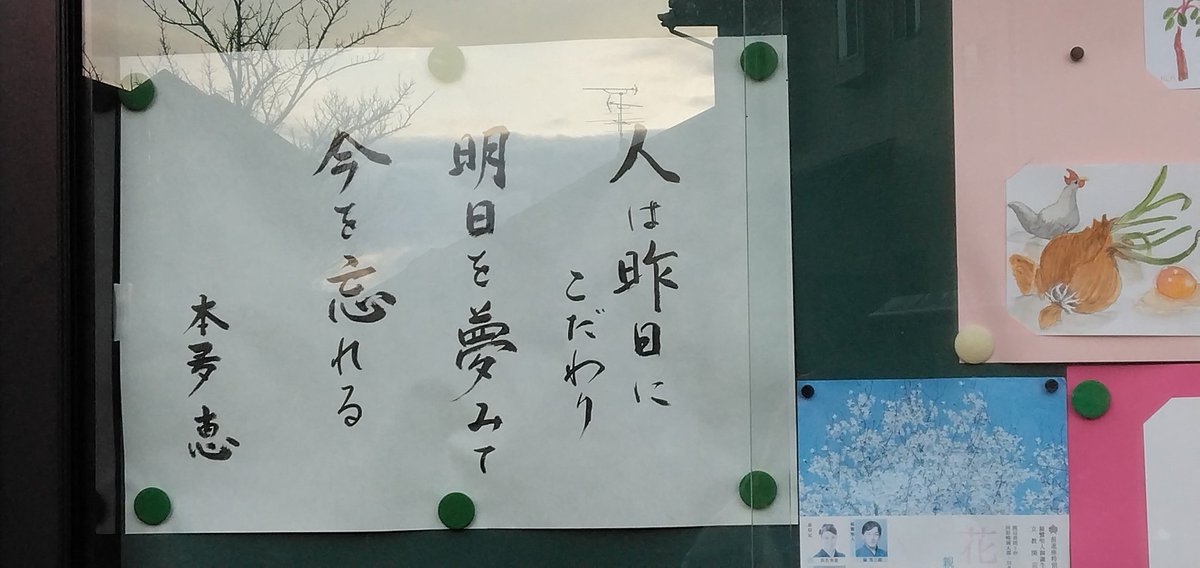 souiuca's tweet photo. 一昨年夏、毎日12時間近く拘束される仕事を辞めてから、雑栗わかるさんとミAアの動画を見漁り、引き寄せ動画を放浪し、ショーゲンさんで絶句した後、TULANDVLOGからネドじゅんさんに辿り着いて、右脳散歩に挑戦したら、すぐ近くのお寺にこんなん書いてました。 https://t.co/brLwMV1jX2