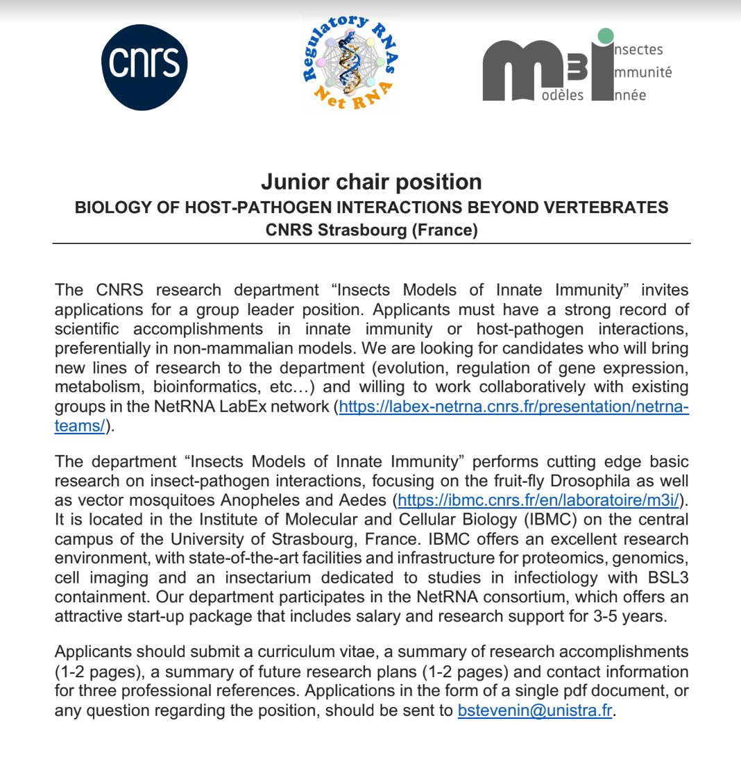 Karim Majzoub tweet media