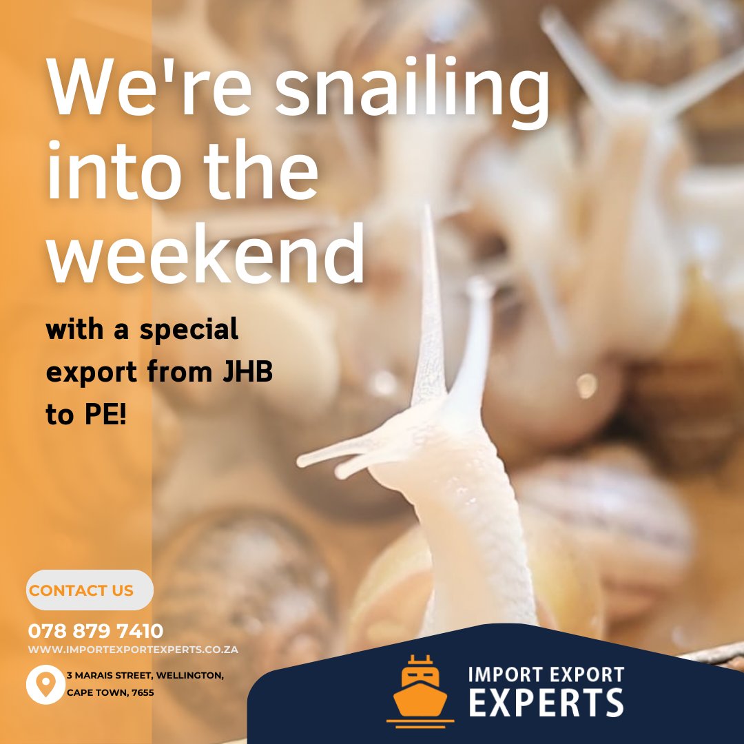 We're snailing into the weekend with a special export from JHB to PE – SNAILS! Our dedicated team at Import Export Experts ensures these delicate cargoes arrive in PE safe and ready to go. Let's make this weekend a snail-tastic one! 
#SnailingIntoTheWeekend #IEX #snails #wedoit