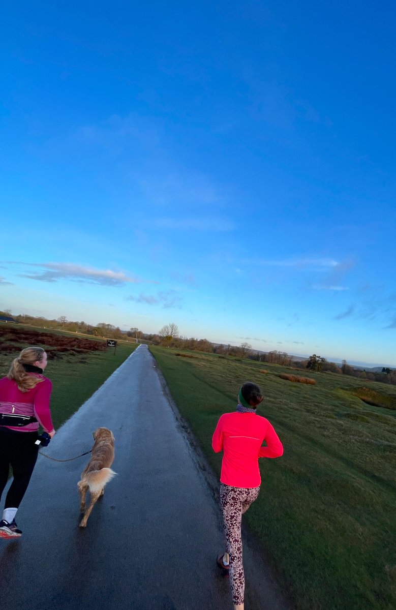 Miss Shibil PE (@pe_ims) on Twitter photo Sunrise miles in Knole Park this AM 🏃🏽♀️ <a href="/southeastNT/">National Trust South East</a> #TeachersRunClub #thesegirlsrun #runclub #teacherlife Sunrise miles in Knole Park this AM 🏃🏽♀️ <a href="/southeastNT/">National Trust South East</a> #TeachersRunClub #thesegirlsrun #runclub #teacherlife