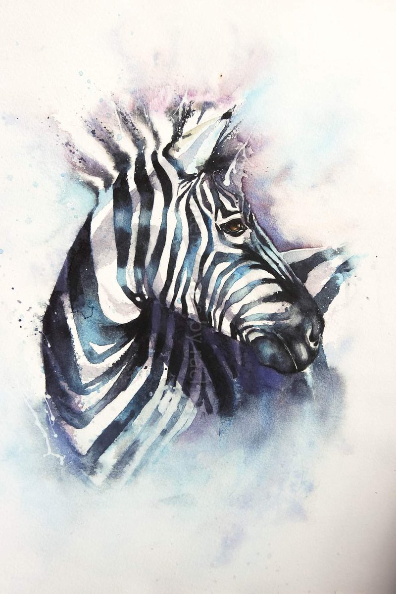 'Nothing is ever just black and white'

Happy Friday xx

#watercolour #watercolourpainting #zebra #animalportrait #Africa #africanwildlife #endangered #wildlifeartist #wildlifeart #painting #paint #artist #inspiration #watercolourart