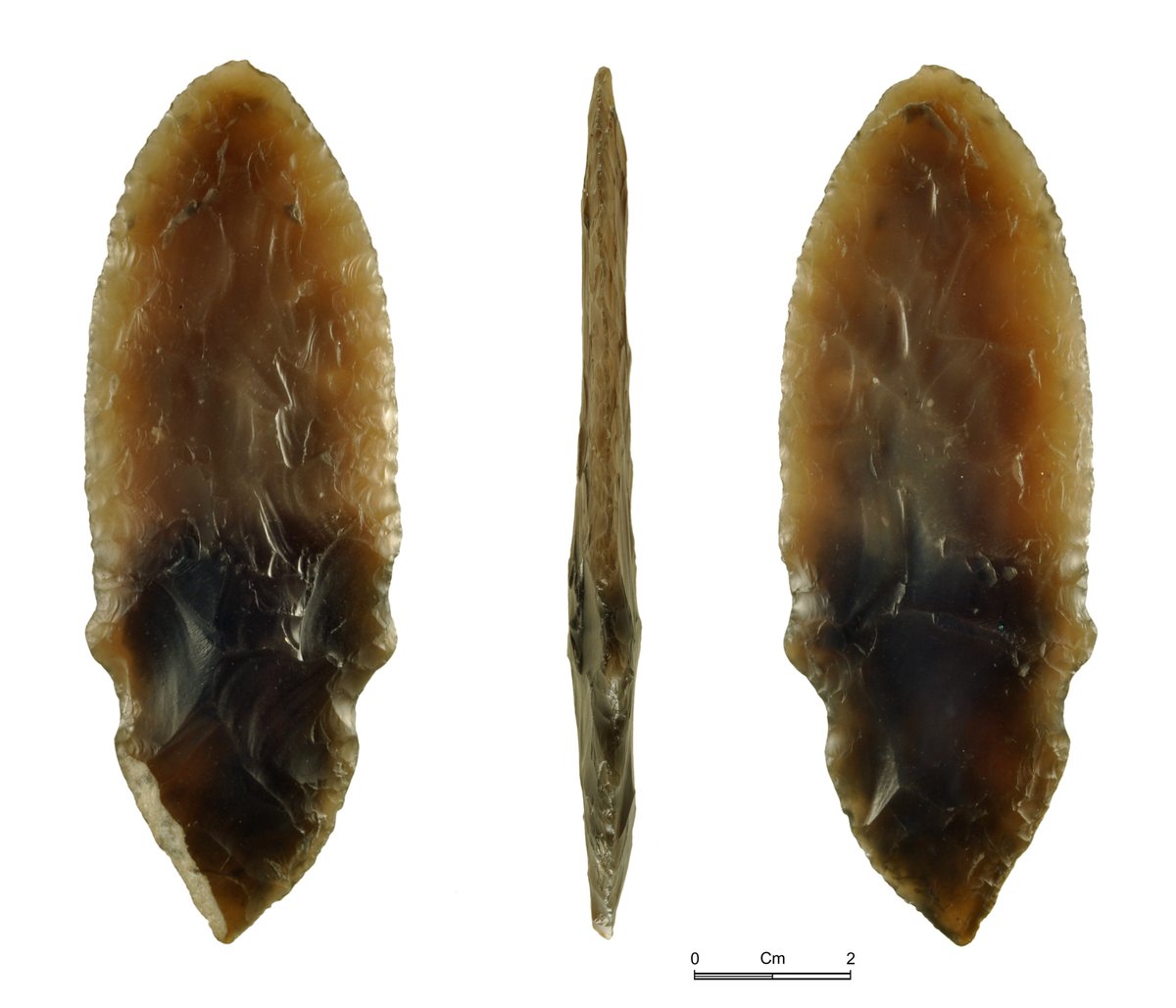 Prospectacnmw tweet media