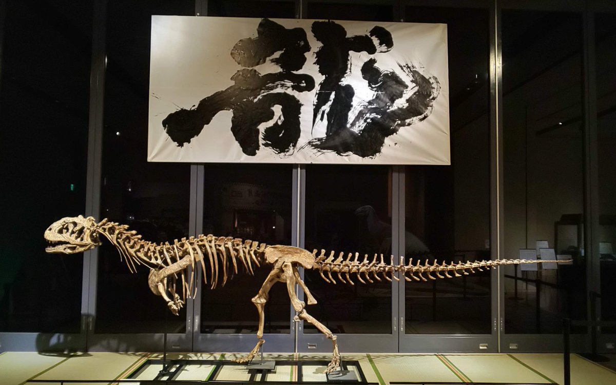 本物　ルゴプス(恐竜マジュンガサウルス科)大腿骨化石　台座付き 本物 ルゴプス(恐竜マジュンガサウルス科)大腿骨化石 台座付き