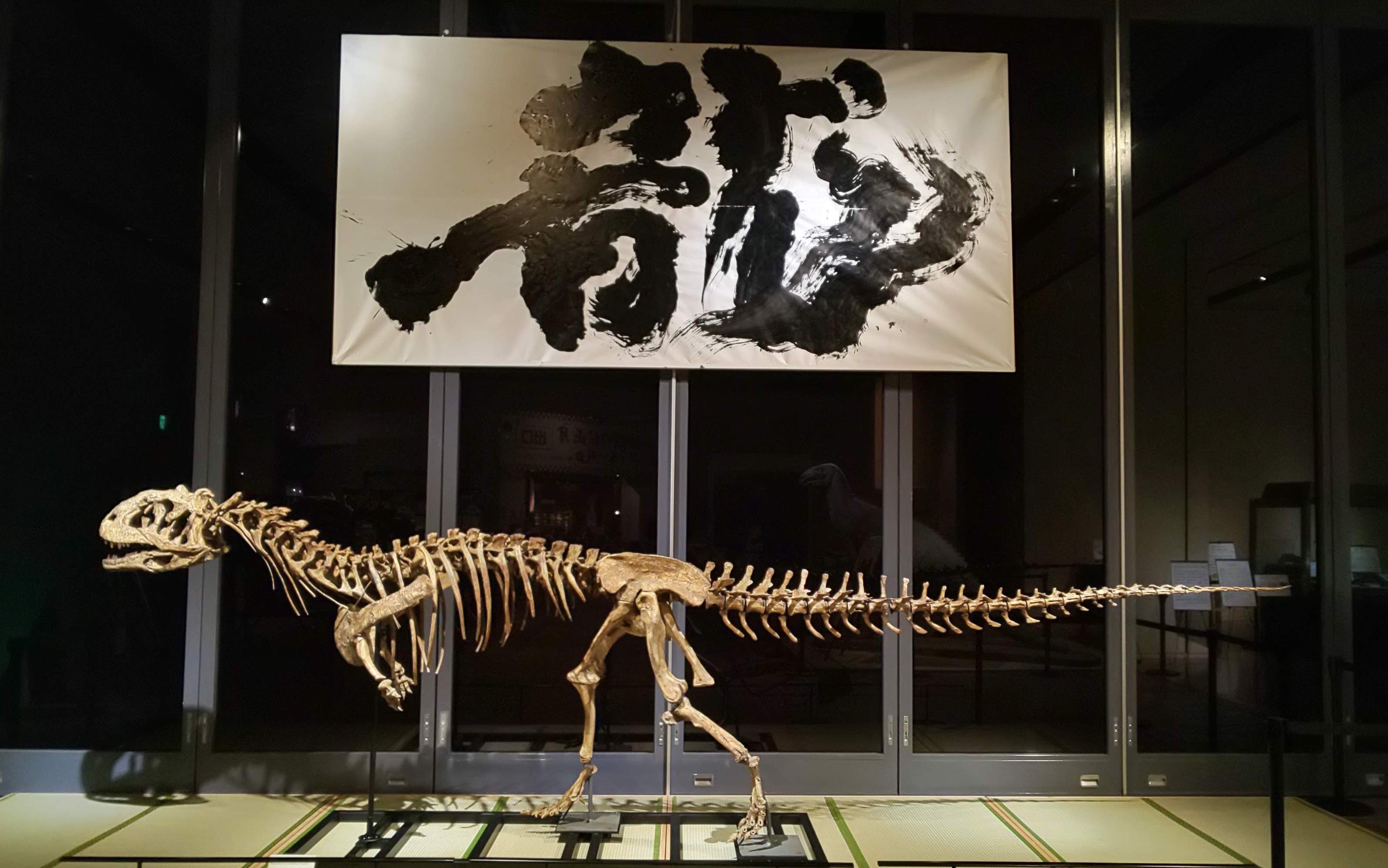 北九州市立いのちのたび博物館 on X: 