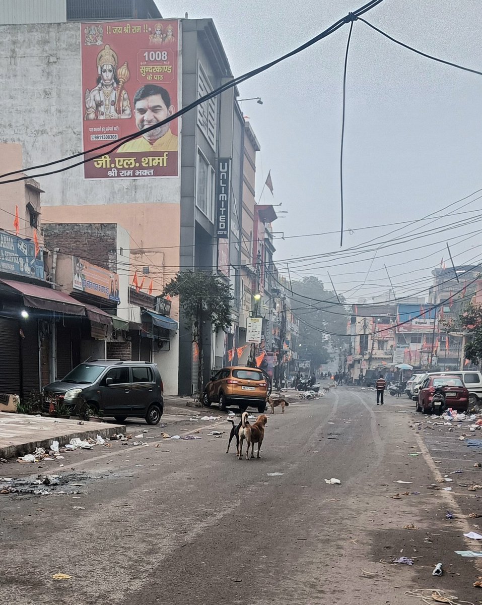 onlyforBJP's tweet photo. @MunCorpGurugram @DC_Gurugram @cmohry R/All. Is there any solution of street dog ? They follow school students in morning hours and bite. The location is Ramlila Ground Roshanpura Behind MCG office Gurgaon. https://t.co/ZPdOKToN0p