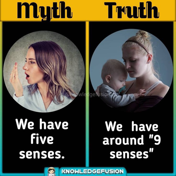 myths vs fact (@mythvsfact_) on Twitter photo 2024-02-23 08:23:54