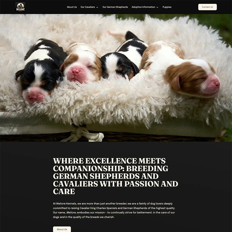 breedpost's tweet image. Breedpost has just launched the new website for Meliore Kennels - breeders of German Shepherds and Cavaliers. The site features a clean, modern design and easy-to-read fonts, making it simple for you to learn about their dogs and breeding practices. meliorekennels.com