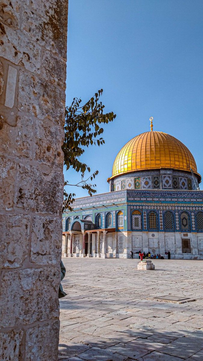 "Etrafını mübarek kıldığımız Mescid-i  Aksa " diye ayetlerde yer verdiğin toprakları zalimlerden arındır Allah'ım 
Hayırlı cumalar 
#HayirliCumalar
#FreePalesine