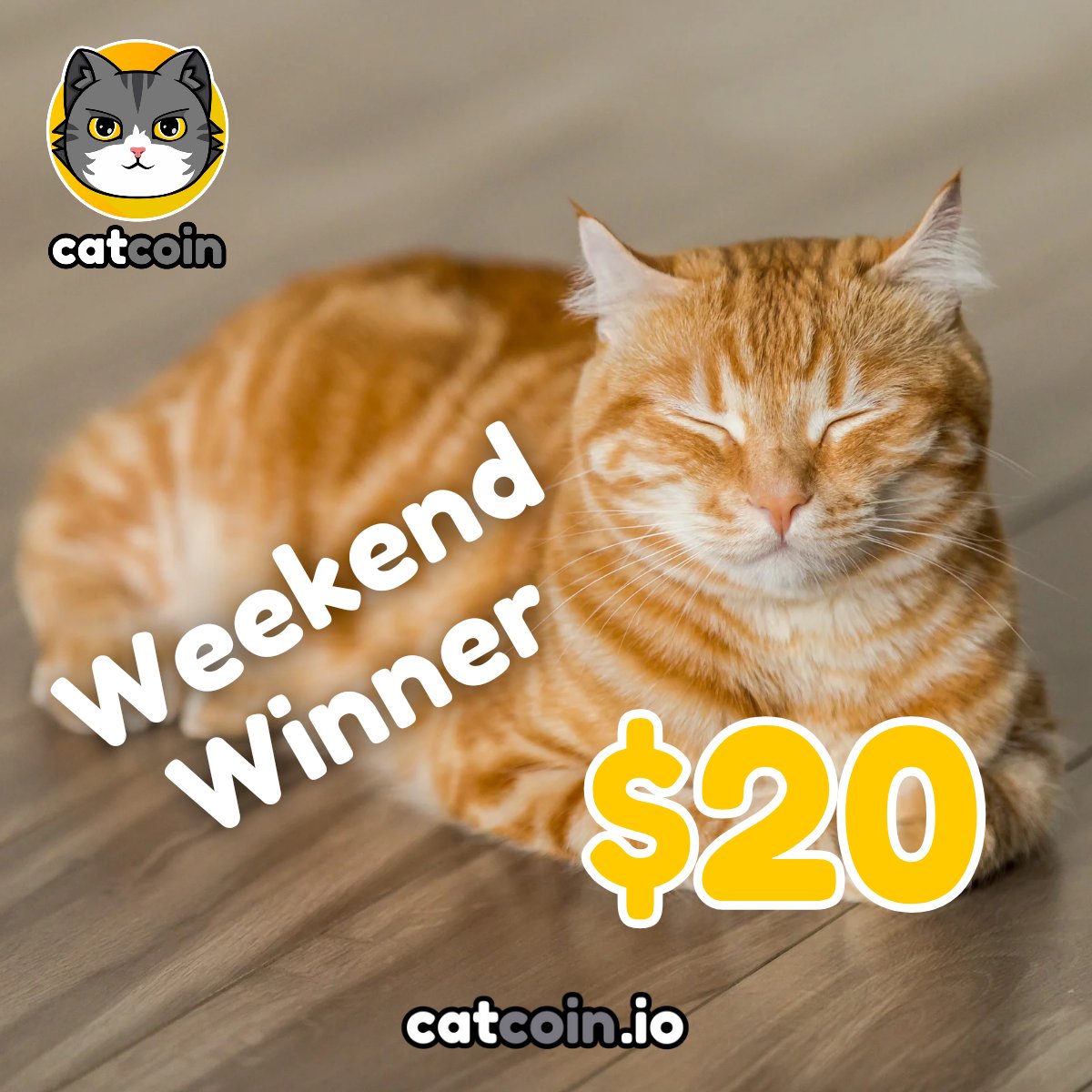 Here's another Weekend Winner! - $20

• Follow <a href="/officialcatcoin/">Official Catcoin</a>
• Retweet
• And comment #Catcoin #USDT #giveaway

48 hours