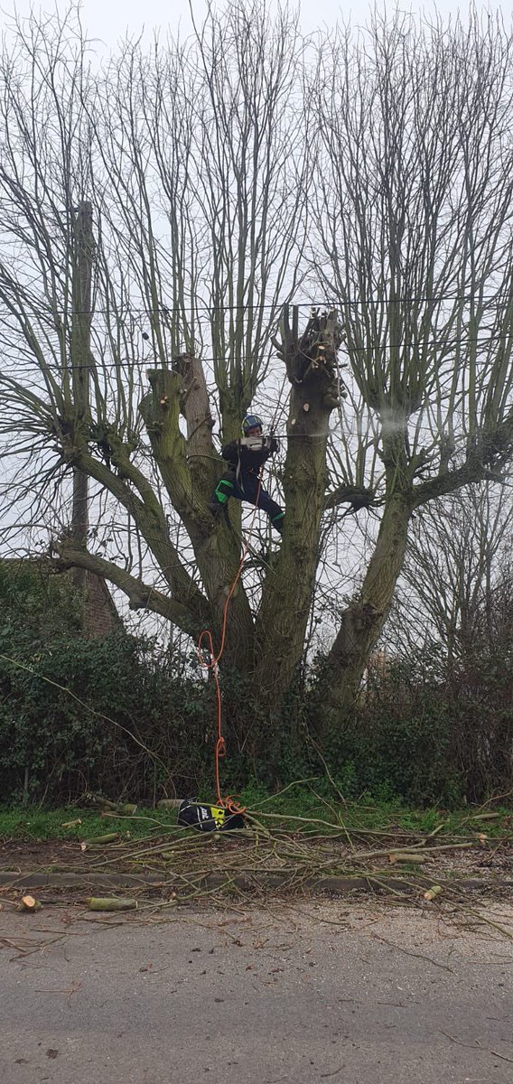 CTC_Sally's tweet photo. Happy birthday to my now 23 year old son (how did that happen!) ❤️ proud of this little monkey whose always climbing trees 🌳 #arborist #no1son https://t.co/XyjhCIRxfM